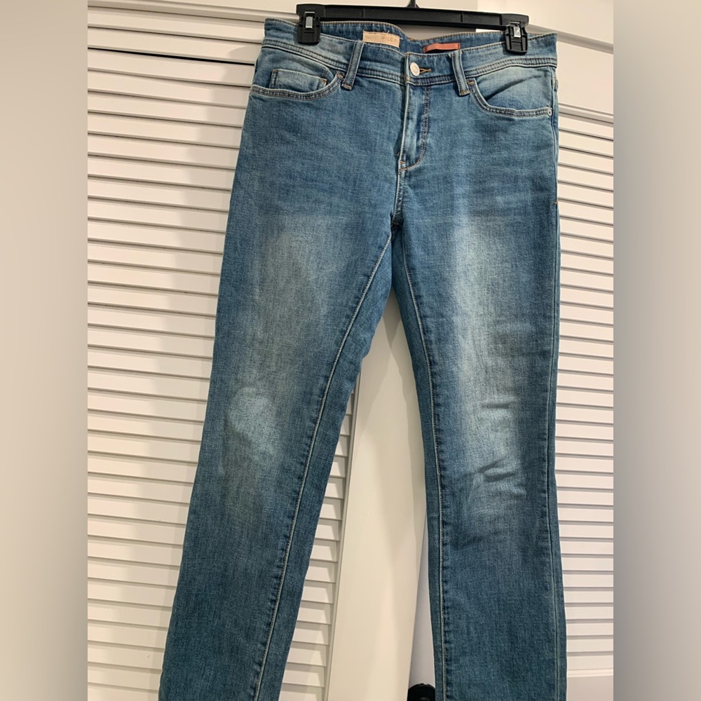 EUC Pilcro The Boyfriend skin minimalist straight fit size 26 casual preppy